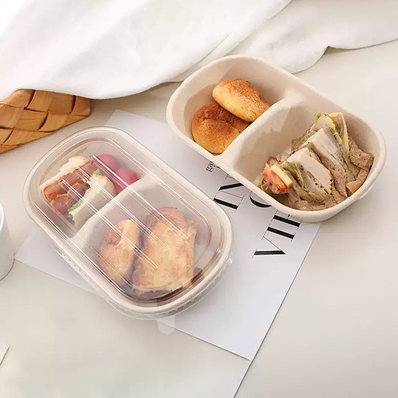 10/50 Buah Kotak Makan Sekali  - Food Storage Safety ulasan dan harga