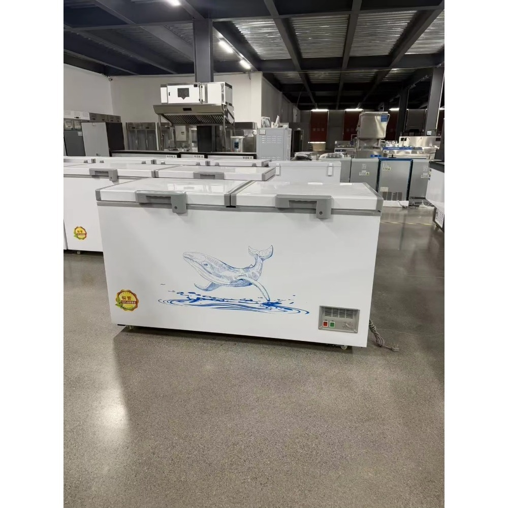 Freezer Horizontal Kustom Gros - Food Storage Freezer ulasan dan harga