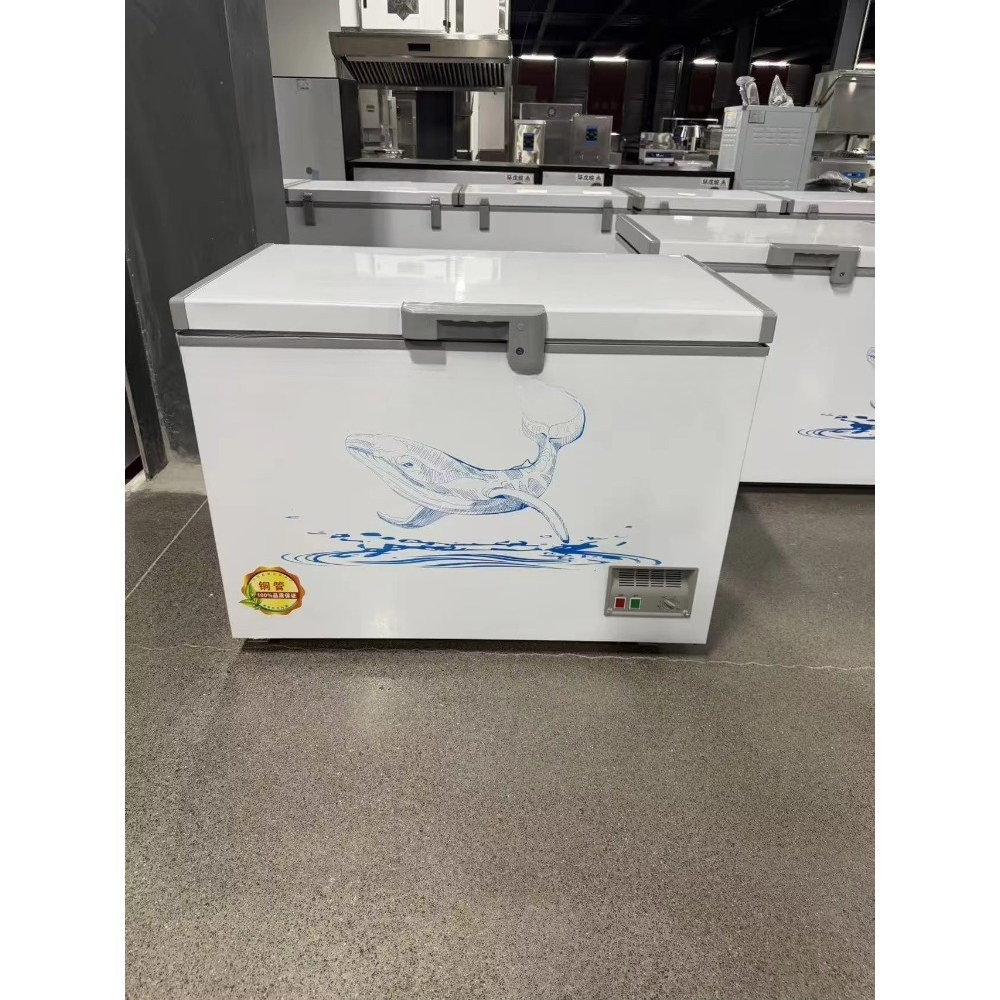 Freezer Horizontal Kustom Gros - Food Storage Freezer ulasan dan harga